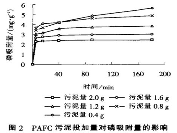 圖2聚合氯化鋁鐵污泥投加量對(duì)磷吸附量的影響