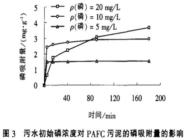 圖3污水初始磷濃度對(duì)聚合氯化鋁鐵污泥的磷吸附量的影響